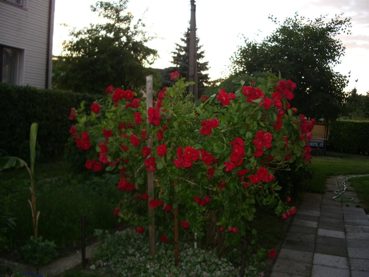 Гостевой дом Sveciu Namai Avada Клайпеда-7