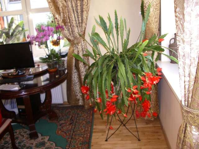 Гостевой дом Sveciu Namai Avada Клайпеда-9